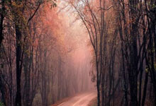 BB体育官网：利物浦vs纽卡：萨拉赫、凯莱赫首发，伊萨克、巴恩斯出战.