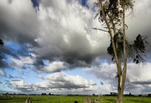 [中超]国安利用角球制造机会 林良铭头球打破僵局.